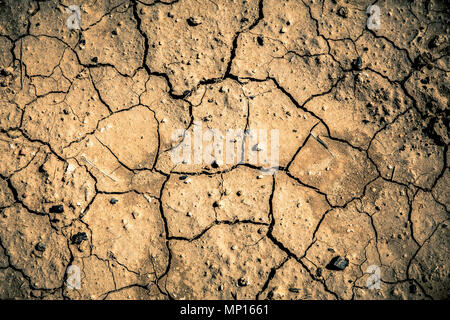 dry parched earth texture from desert ground Stock Photo