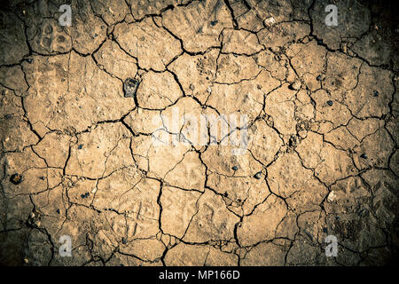 dry parched earth texture from desert ground Stock Photo
