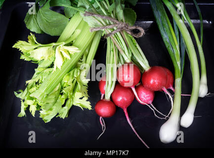 On the table on a dark tray is a bunch of young radishes, celery and green onions. Stock Photo