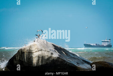 The coastline at Yabucoa, Puerto Rico. Stock Photo