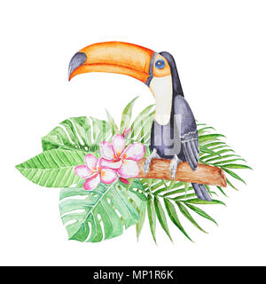 Cute tropical tucan sitting on the  branch in tropical leaves . Hand panted watercolor illustration. Stock Photo