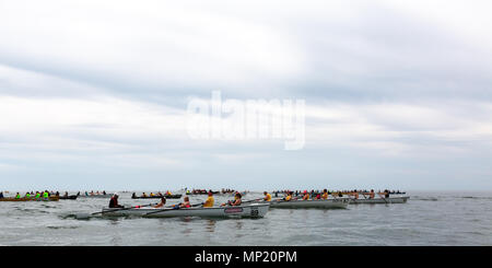 Competitors taking part in the Aberystwyth rowing club regatta out on Cardigan bay. © Ian Jones/Alamy Live News. Stock Photo
