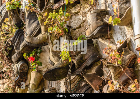 Flowers growing in lots of old boots used as plant pots and attached to an old stone wall. Teignmouth, Devon. Feb 2018. Stock Photo