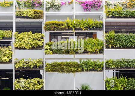Vertical landscaping gardening on a multi-storey carpark block. purpose to beautify and reduce heat temperature, Changi Airport. Singapore Stock Photo