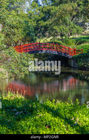 Red Japanese style bridge over stream in woodland in a large country ...