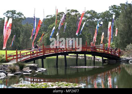 People on bridge over water at Botanic Garden, Australia, Coffs Harbour. Traditional Japanese themed balloons flying in air at Japanese Children's Day Stock Photo