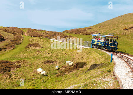 Great Orme Tramway, Britain’s only cable-hauled public road tramway descending Great Orme Country Park & Nature Reserve, Llandudno, North Wales, UK. Stock Photo