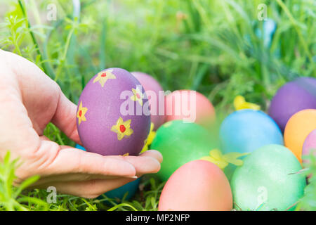 Easter egg ! happy colorful Easter sunday hunt holiday decorations Easter concept backgrounds with copy space Stock Photo