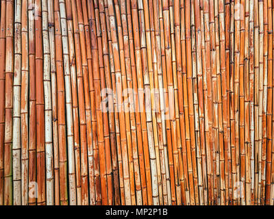 Bamboo fence background. Bamboo stalks lined up in a row. Stock Photo