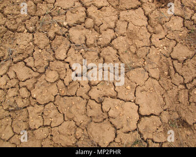 Red, Dry Desert Mud with Pebbles, Wild Grass and Pine Needles Stock Photo