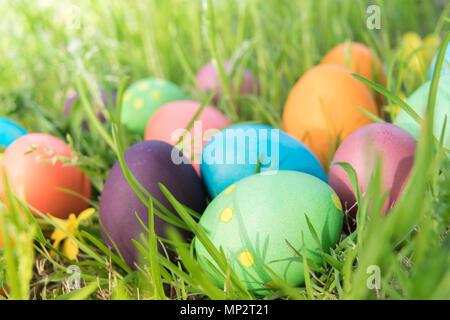 Easter egg ! happy colorful Easter sunday hunt holiday decorations Easter concept backgrounds with copy space Stock Photo
