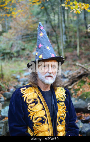 A wizard with a long gray beard and a cloak in a deep forest. An ...