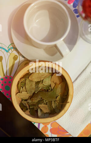 Coca tea leafs in plate in empty tea cup view from above Stock Photo