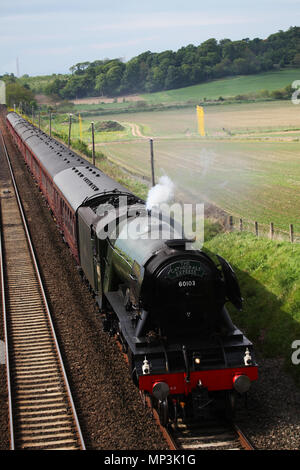 The Flying Scotsman steam engine makes it way past the end of the runway at Edinburgh airport Stock Photo