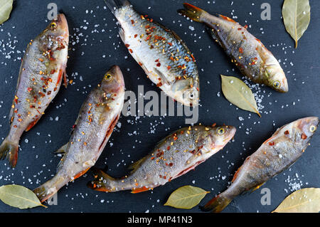 scraped river fish crucian and perch in spices and salt on a black graphite board, top view Stock Photo