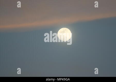 Spring sunset with moon rising at Ming Lake, Bakersfield, Kern County, CA Stock Photo