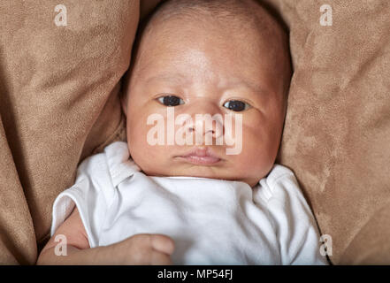 A three week old baby boy looking at the camera Stock Photo