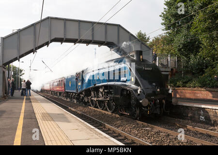Ex LNER A4 steam locomotive 60007 Sir Nigel Gresley passes Chester le Street station on the east coast main line, north east England, UK Stock Photo