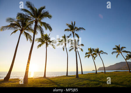 Amazing hawaiian beach Stock Photo