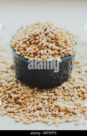 Close up of pearl barley. Pearl barley grain seeds. Stock Photo