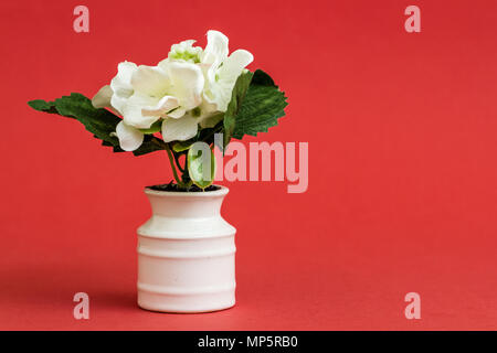 White artificial flower in white porcelain flowerpot on red background with copy space Stock Photo