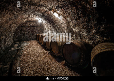 Barrels in the old wine cellar Stock Photo
