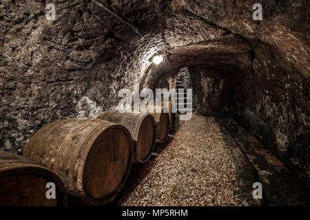Wine cellar with a row of barrels Stock Photo