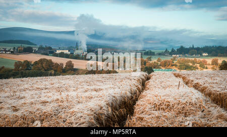 Early morning soft light over a barley field towards the Whisky production plant of the Glenlivet Distillery, Glenlivet, Scotland, UK Stock Photo