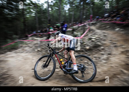 21st Commonwealth Games, Mountain Biking, Gold Coast, Queensland Stock Photo