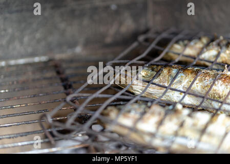 Three fresh roasting fishes on grill on barbecue party during sunny day. Stock Photo
