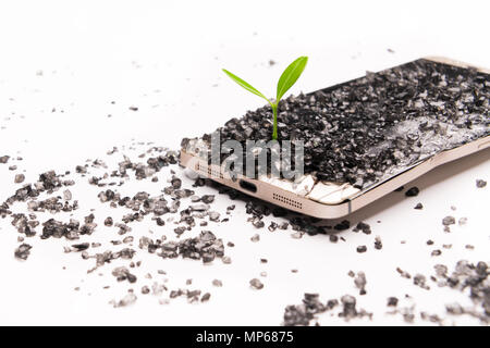 little tree growing on the broken smart phone, environment, knowledge, innovation and technology concept with copy space Stock Photo