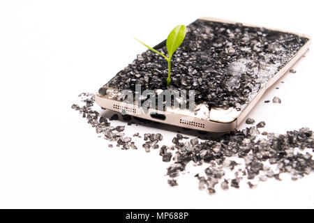 little tree growing on the broken smart phone, environment, knowledge, innovation and technology concept with copy space Stock Photo
