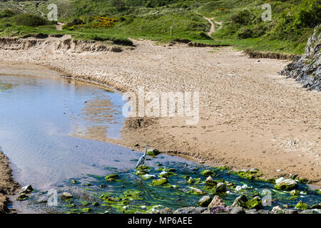 The top of Broad Haven Beach near Bosherston Lily Ponds, South Pembrokeshire - and a heron too. Stock Photo