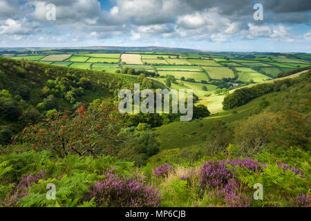 The Punchbowl at Winsford Hill in Exmoor National Park, Somerset, England. Stock Photo