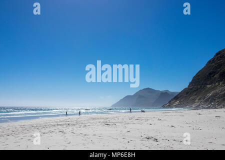 People walking with dog on Noordhoek Beach on a clear, blue skied autumn day in South Africa. Stock Photo