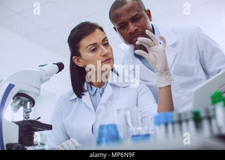 Serious scientists looking at a sample Stock Photo