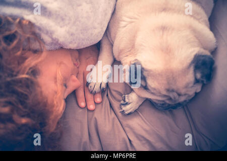 true and great love concept scene between nice beautiful woman and cute puppy dog pug sleeping together with protection and touch hand with paw. conta Stock Photo