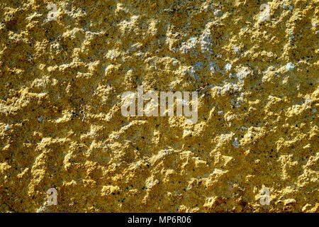 Lichens on a worked and highly textured stone full frame background Stock Photo