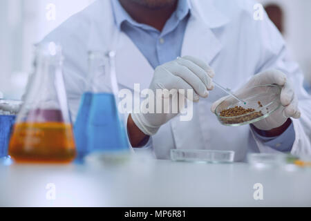 Clever afro-american biologist working with seeds Stock Photo