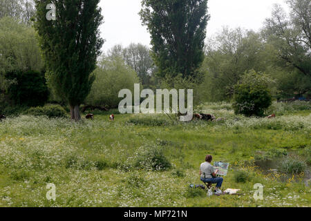 Cambridge, UK. 21st May 2018 An artist paints a scene in a meadow during the warm weather in Cambridge, UK. Credit: Jason Mitchell/Alamy Live News Stock Photo
