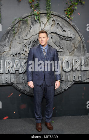 Madrid, Spain. 22nd May, 2018. Chris Pratt attends 'Jurassic World: Fallen Kingdom' World Premiere at WiZink Center on May 21, 2018 in Madrid, Spain. May22, 2018. Credit: Jimmy Olsen/Media Punch ***No Spain***/Alamy Live News Stock Photo