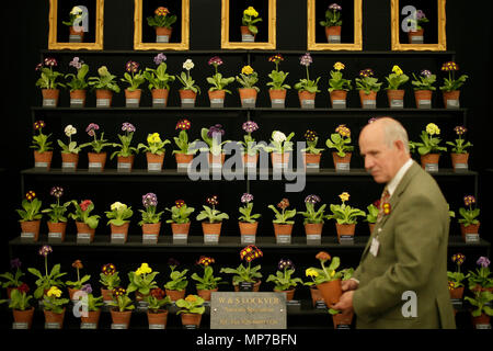 London, Britain. 21st May, 2018. A man prepares his display at the RHS Chelsea Flower Show held in the grounds of the Royal Hospital Chelsea in London, Britain, on May 21, 2018. The Chelsea Flower Show, otherwise known as the Great Spring Show and held by the Royal Horticultural Society (RHS), is the biggest flower and landscape garden show in the UK. Credit: Tim Ireland/Xinhua/Alamy Live News Stock Photo
