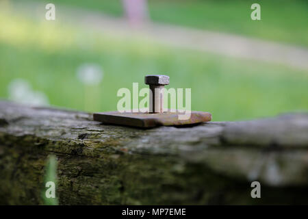 Rusty metal bolt in wooden post Stock Photo