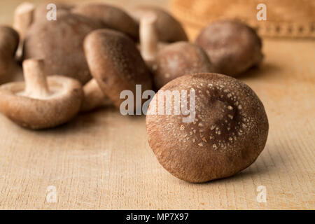 Heap of fresh raw shiitake mushrooms close up Stock Photo