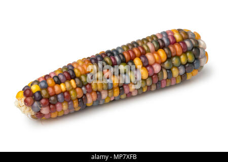 Single fresh raw colorful gem glass corn on cob isolated on white background Stock Photo