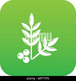 Spa eco leafs icon green vector Stock Vector