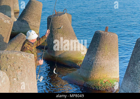 a man caught a fish on a fishing rod, fishing on a Salak, fishing in the evening, sea fishing in the spring Stock Photo