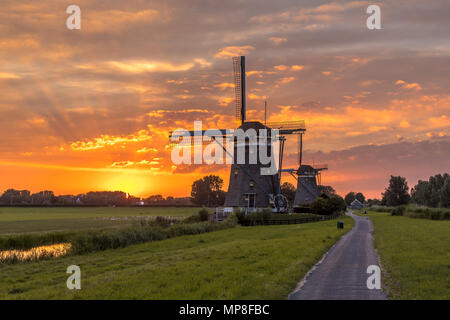 Two historic wooden windmills under orange sunset in dutch polder landscape Stock Photo