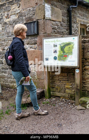Woman reading the notice board outside The Old Sawmill in Skipton, North Yorkshire, UK. Stock Photo