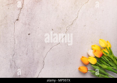 tulip flower with crack white cement background spring concept Stock Photo